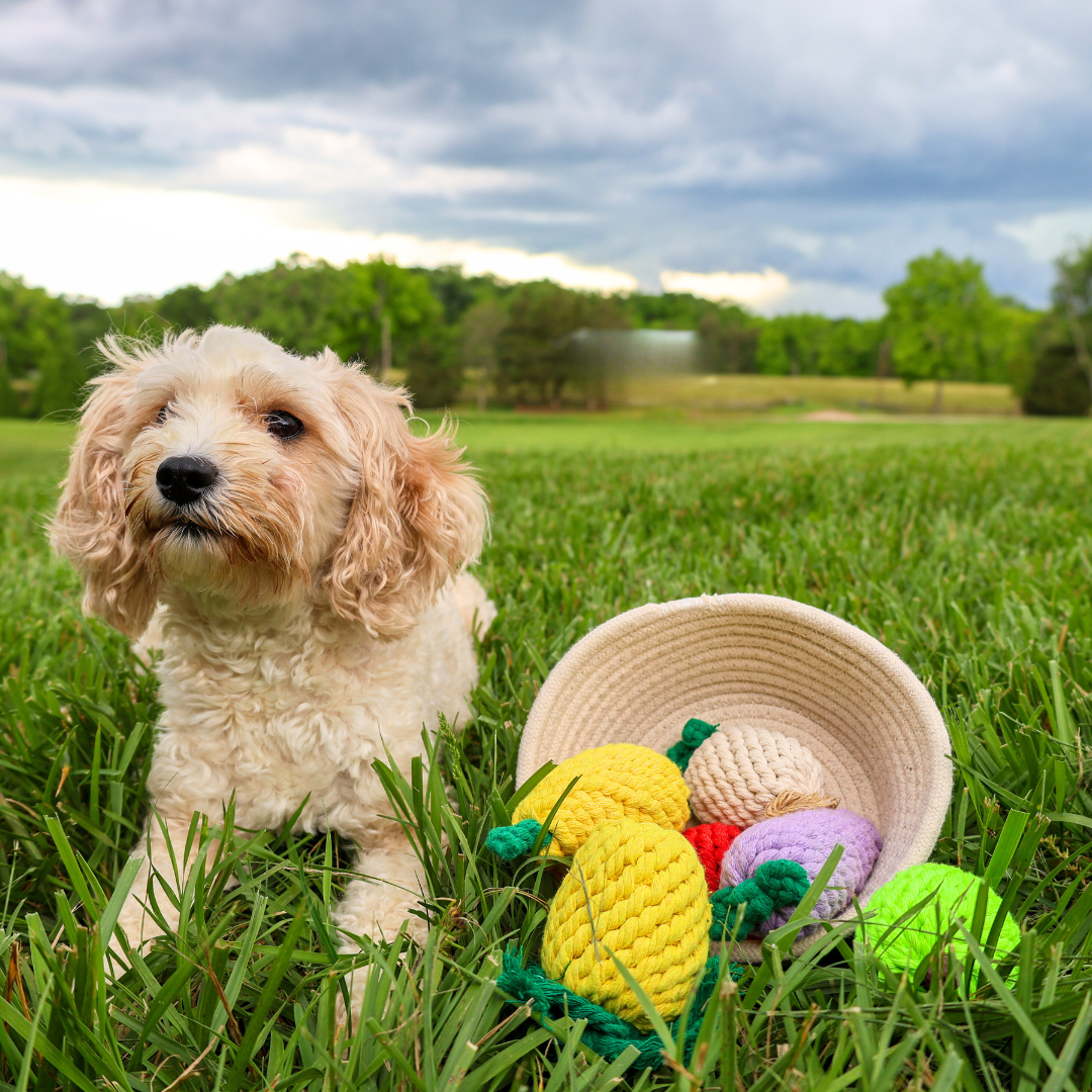 Handmade Pear Rope Toy