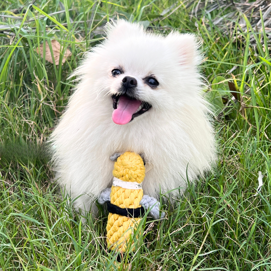 Queen the Bee Rope Toy
