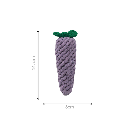 Handmade Eggplant Rope Toy